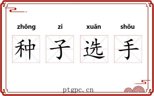 种子选手