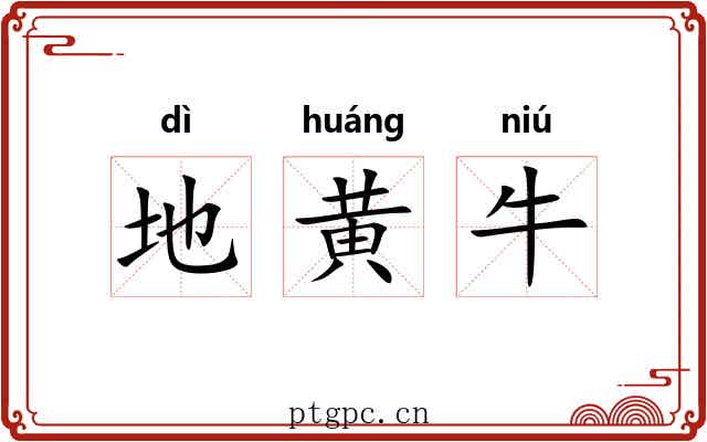 地黄牛 地黄牛