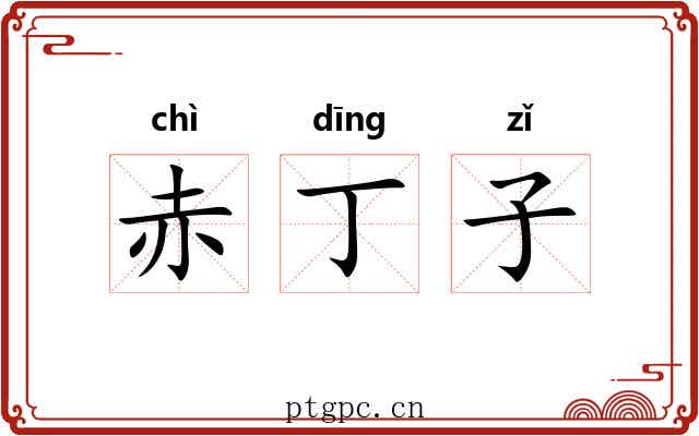 赤丁子
