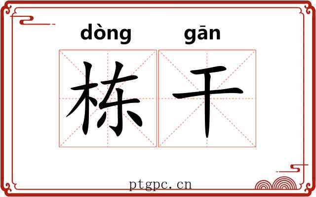 栋干 栋干