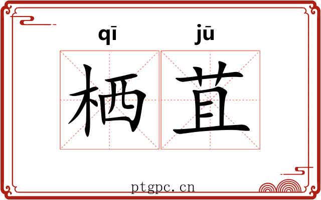 栖苴