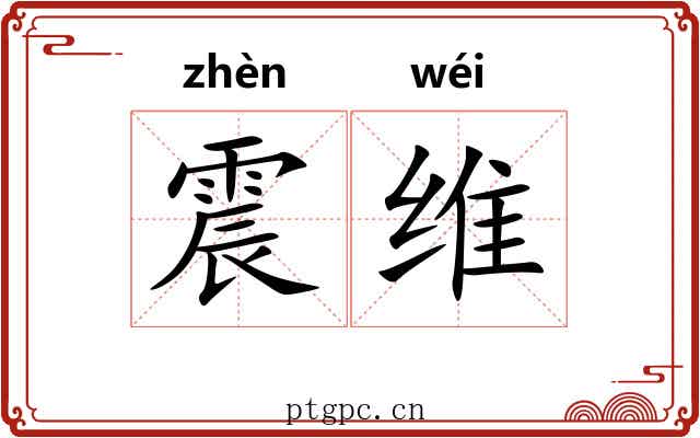 震维 震维