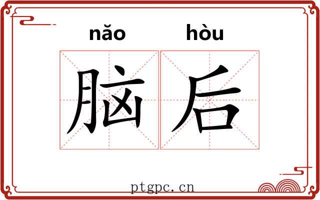 脑后 脑后