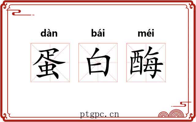 蛋白酶 蛋白酶