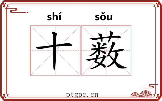 十薮