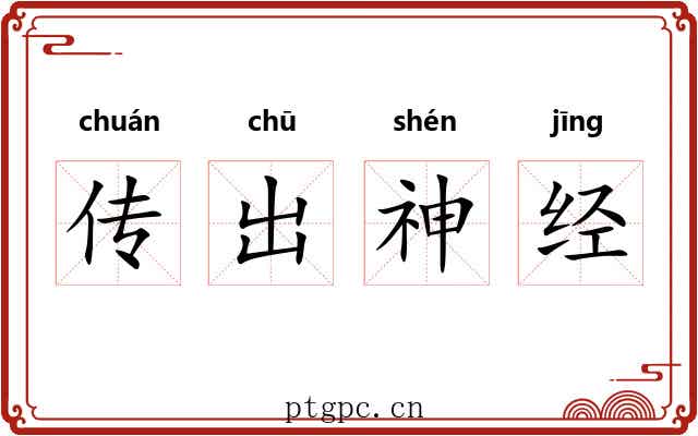 传出神经 传出神经