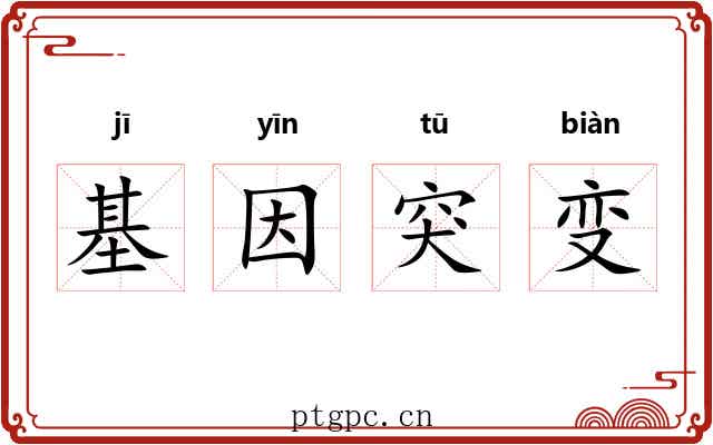 基因突变 基因突变