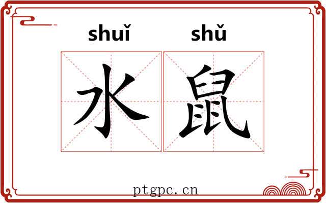 水鼠