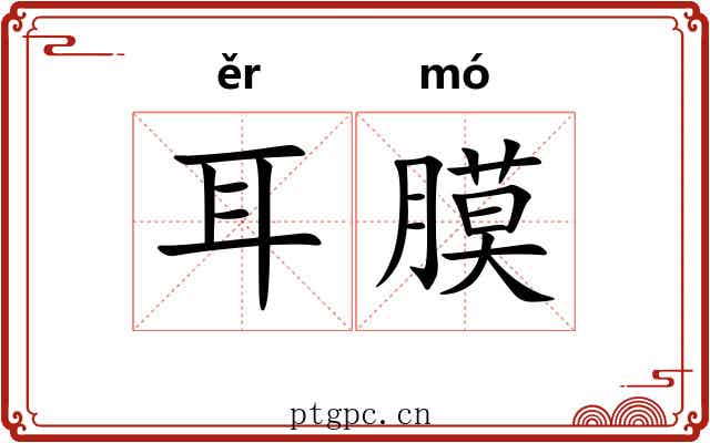 耳膜