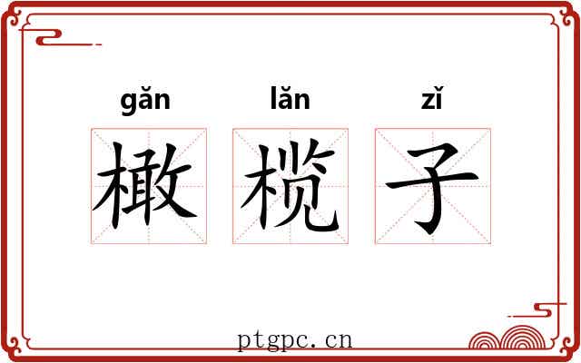 橄榄子