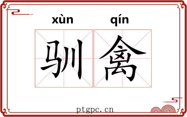 驯禽