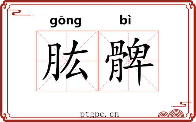肱髀