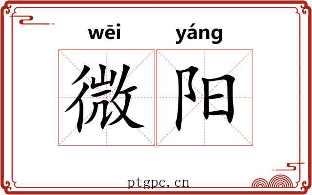 微阳