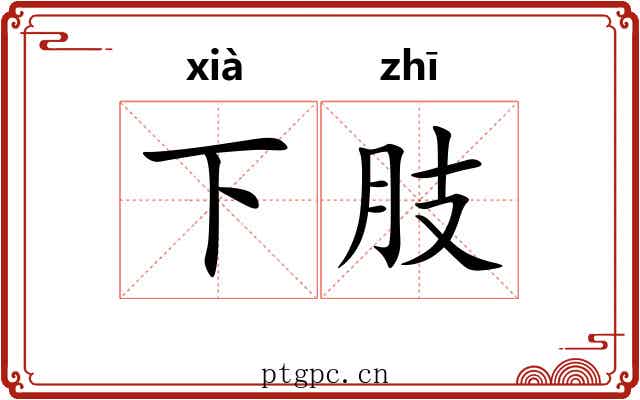 下肢 下肢