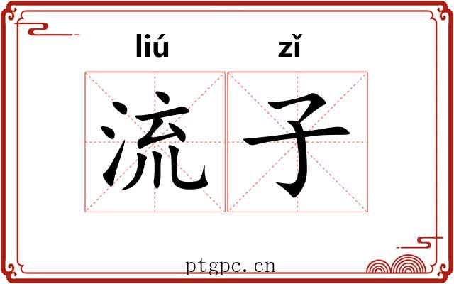 流子 流子