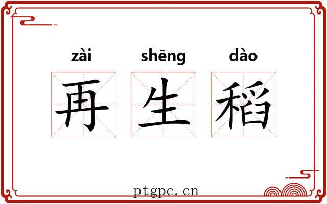 再生稻