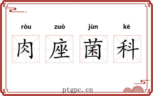 肉座菌科