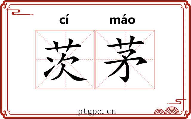 茨茅