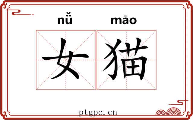 女猫