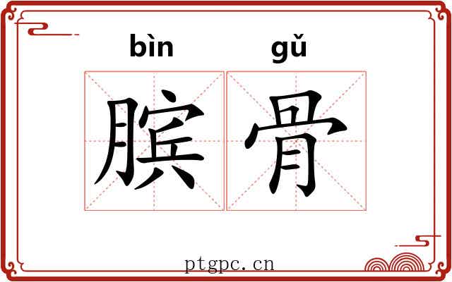 膑骨