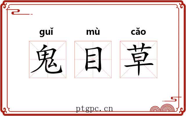 鬼目草 鬼目草