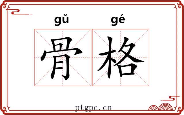 骨格 骨格