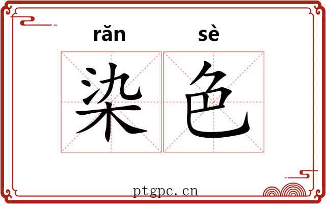 染色 染色
