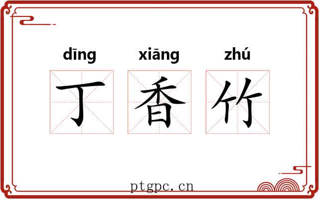 丁香竹