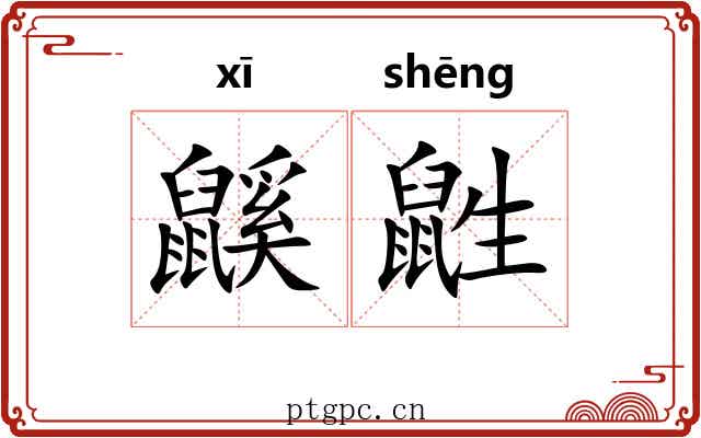 鼷鼪