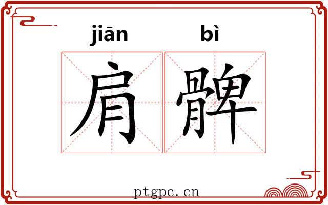 肩髀