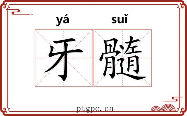 牙髓