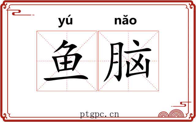 鱼脑 鱼脑