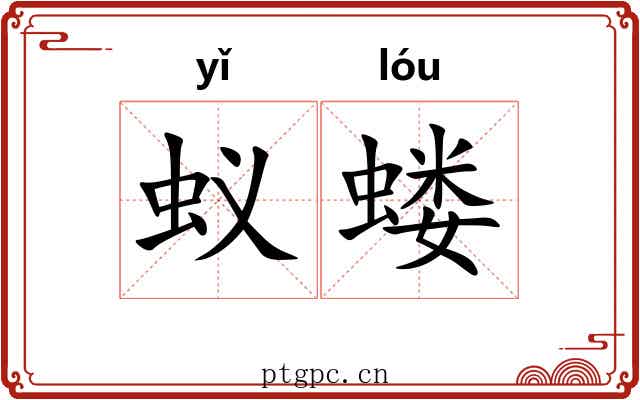 蚁蝼