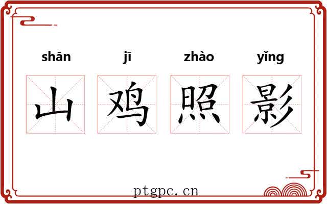 山鸡照影