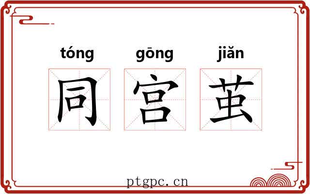 同宫茧 同宫茧