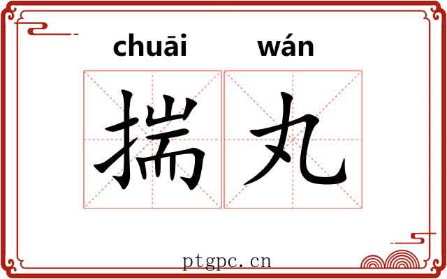 揣丸
