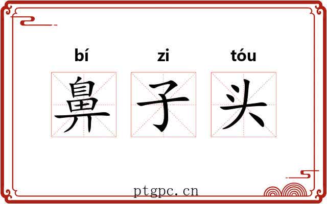 鼻子头 鼻子头