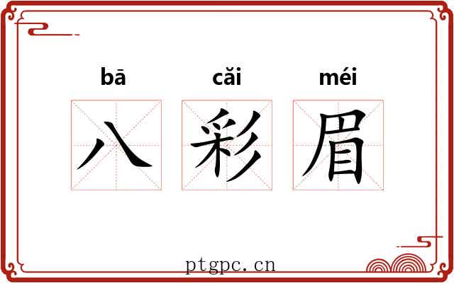 八彩眉