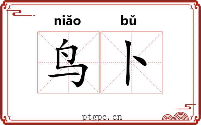 鸟卜 鸟卜