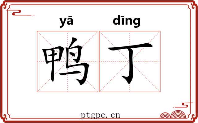 鸭丁
