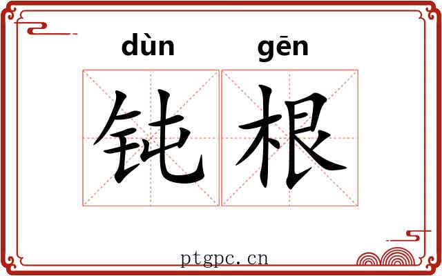 钝根 钝根