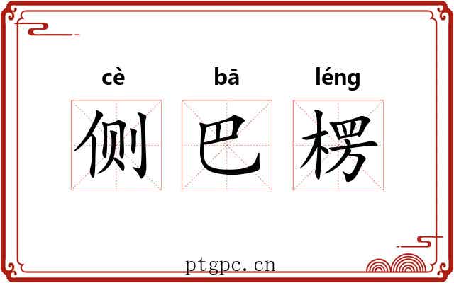 侧巴楞 侧巴楞