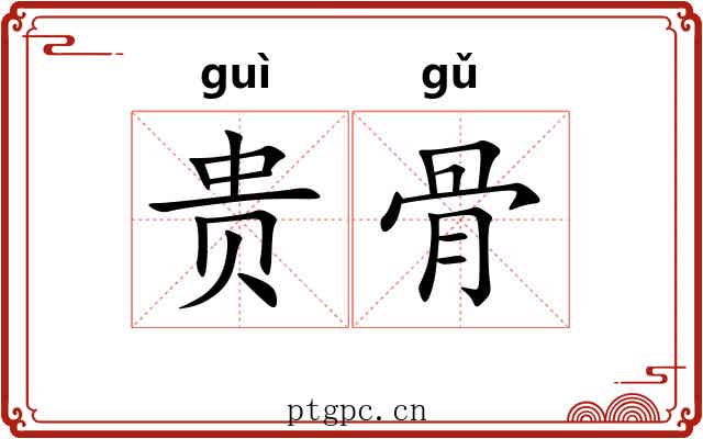 贵骨