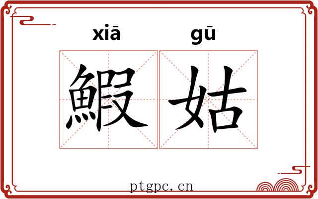 鰕姑