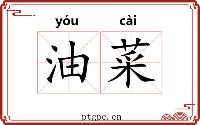 油菜 油菜