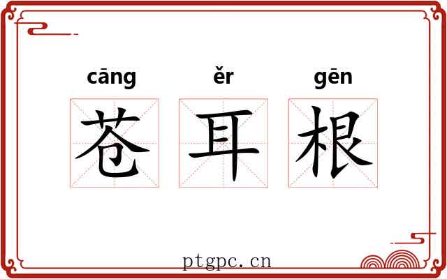 苍耳根