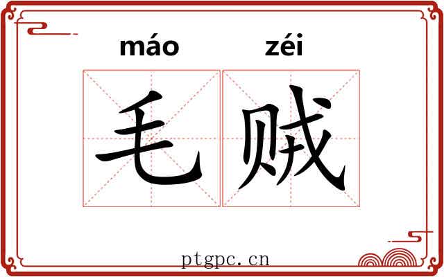 毛贼