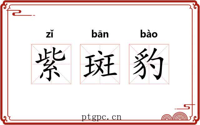 紫斑豹