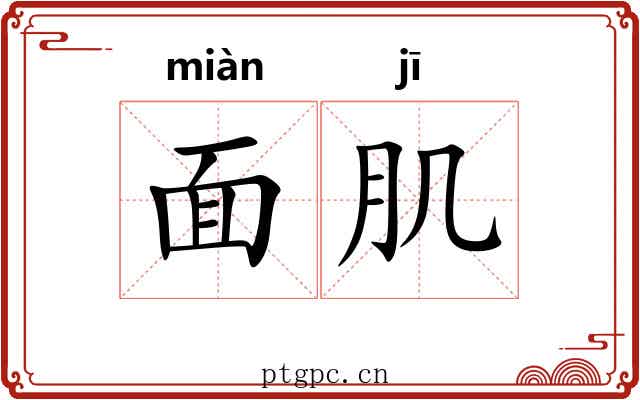 面肌 面肌