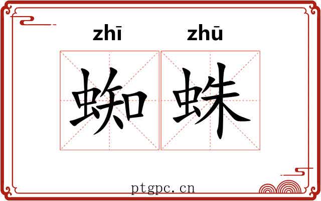 蜘蛛 蜘蛛